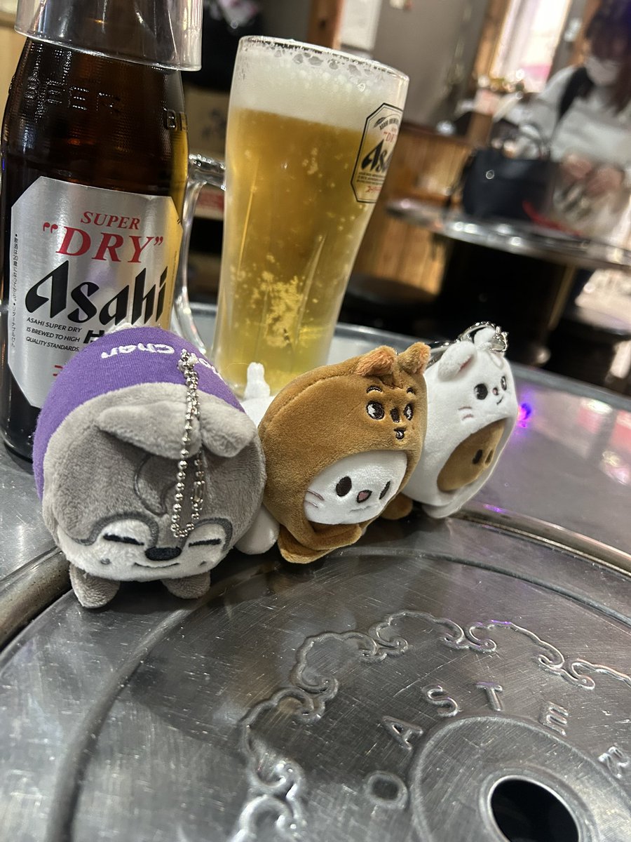 baristaABE's tweet photo. 昨日弟の誕生日を祝っているウルフチャンと共に楽しみまくっていて、
朝起きたらきっと浮腫むだろうと覚悟していたけど、楽し過ぎた&amp;ストレスなくなったのか、かなりスッキリしていてびっくり🫢

さっ、魔の週間をのりきりますか！ https://t.co/5rDXT93XzF