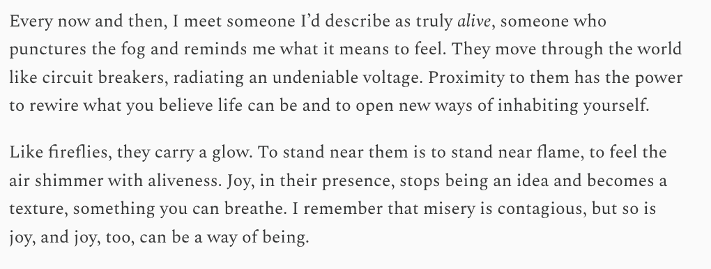 maja 🔭🍒 tweet media