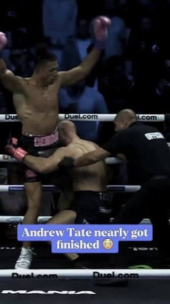 Turnables ®️ tweet media