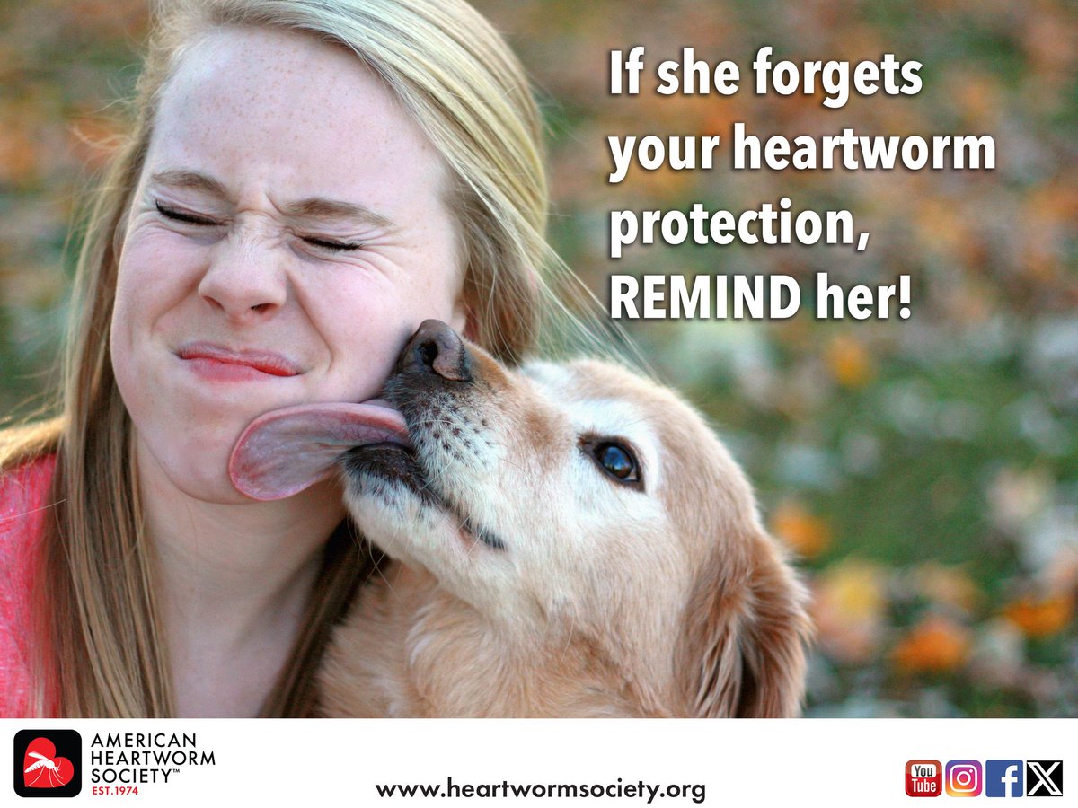 Heartworm Society tweet media