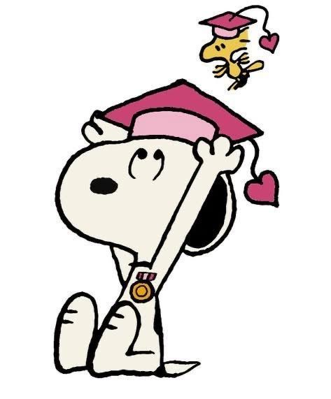 issobelle tweet media