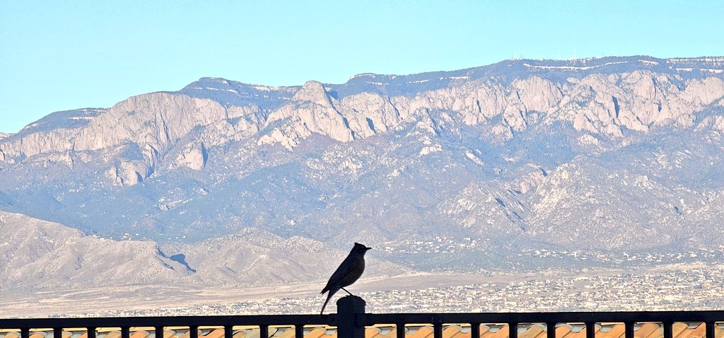 Chuck Webster MD, MS AI, MS Systems Engineering tweet media