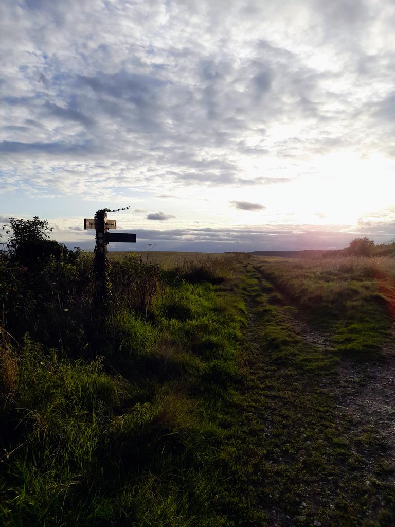 usefuleater tweet media