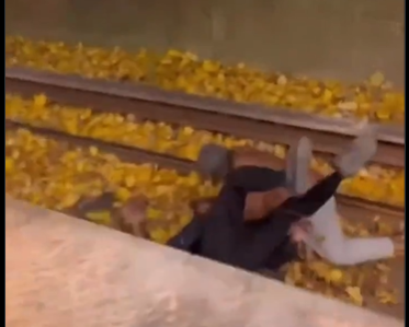 Brain Juice tweet media