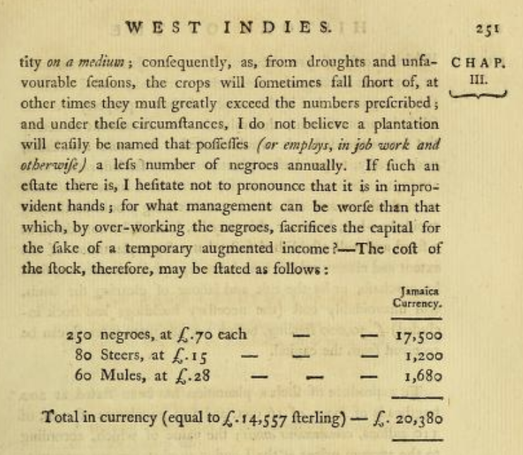 Macrophysiological System🐀 tweet media