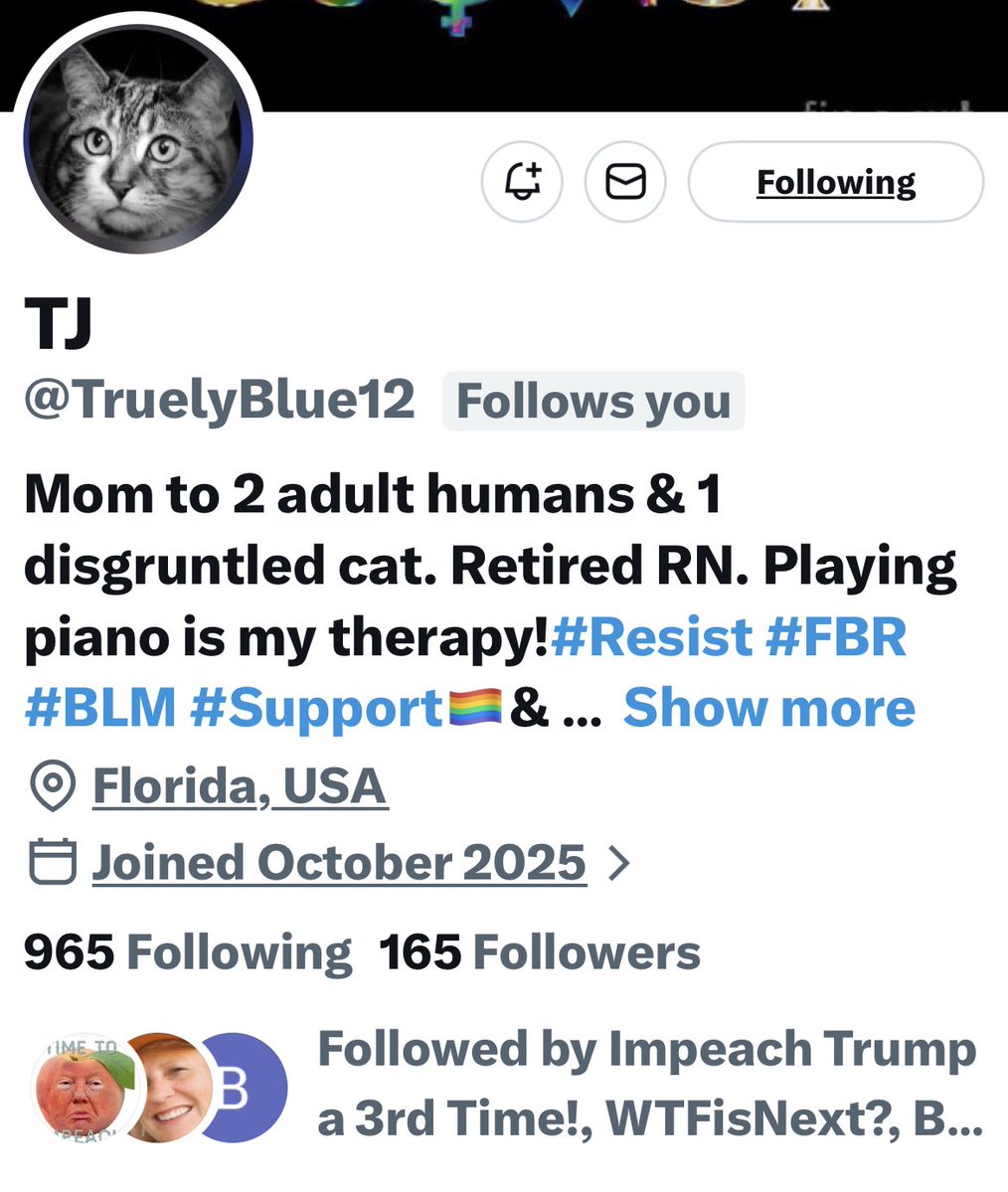 Turquoise Cat tweet media