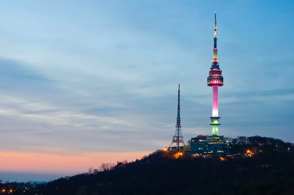 토끼히비키 tweet media