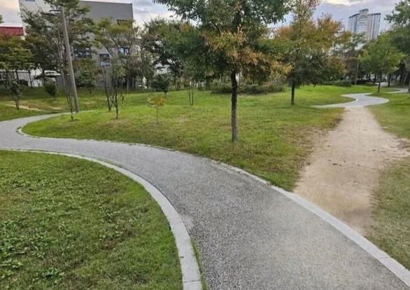 캣츠파파 tweet media