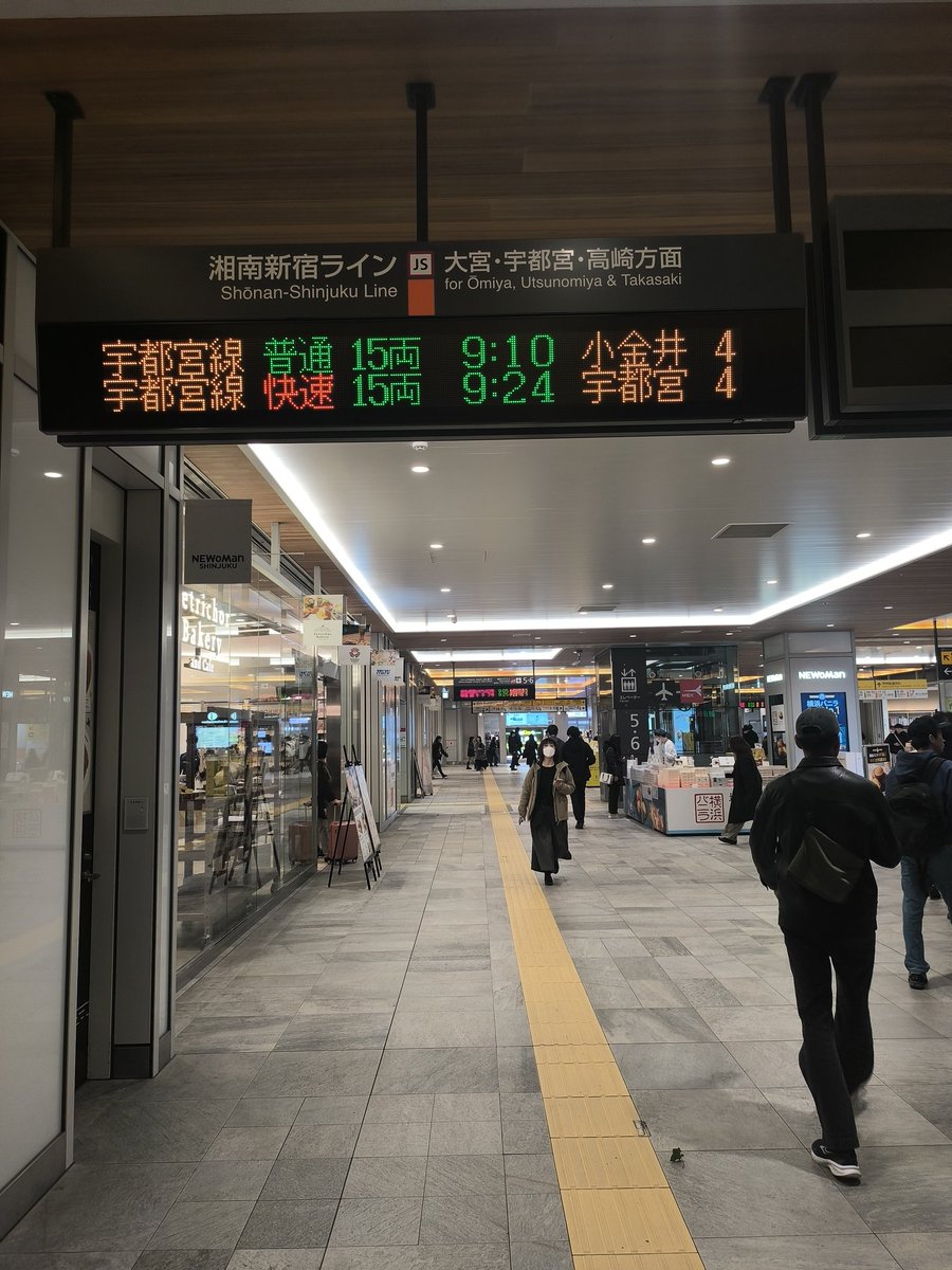 🐢💨 tweet media