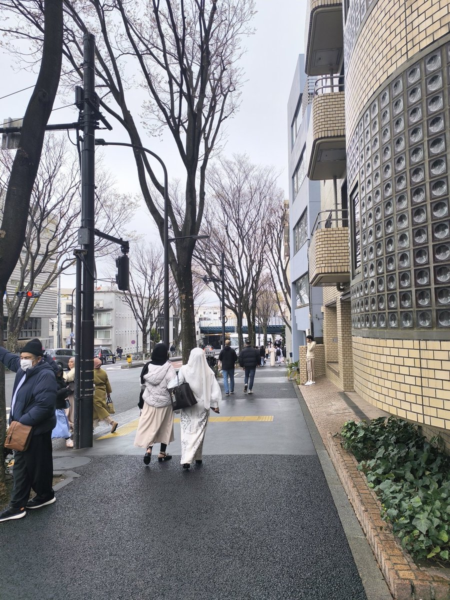 🐢💨 tweet media