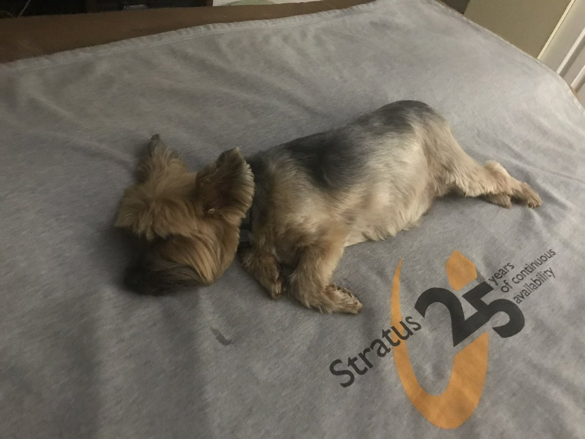 RealJerryR tweet media