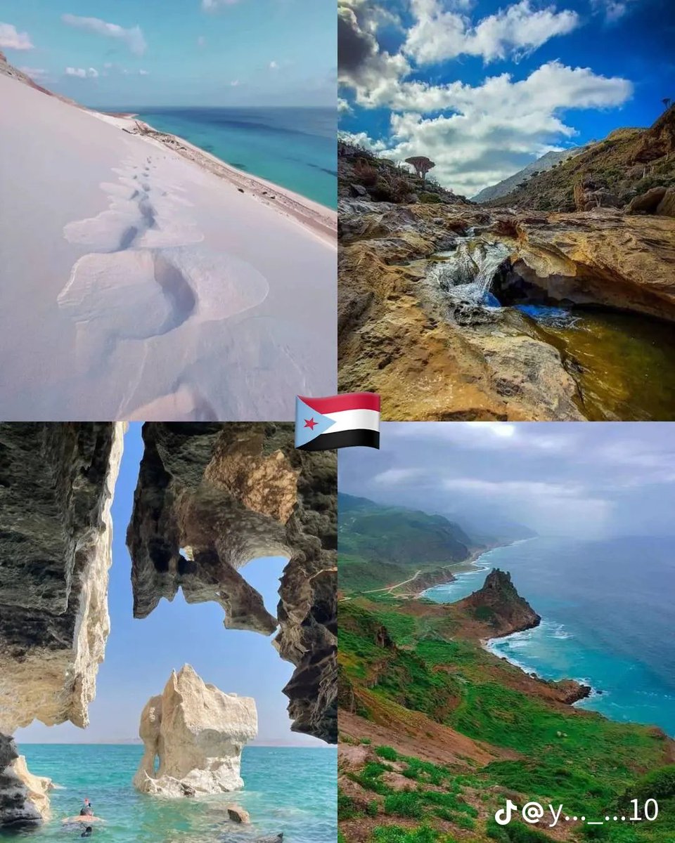 تـــــوّاق tweet media