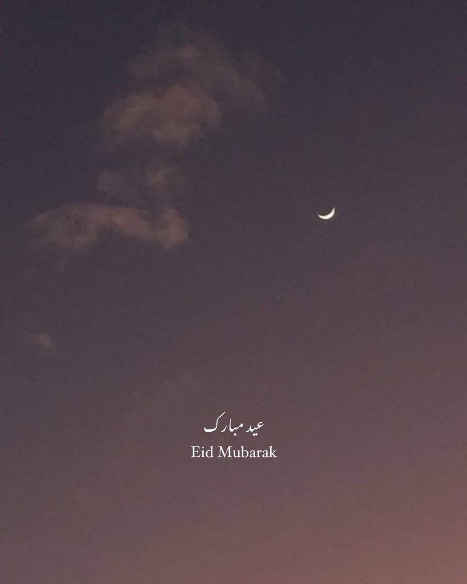 Islam and Life ⬇️⬇️⬇️ tweet media