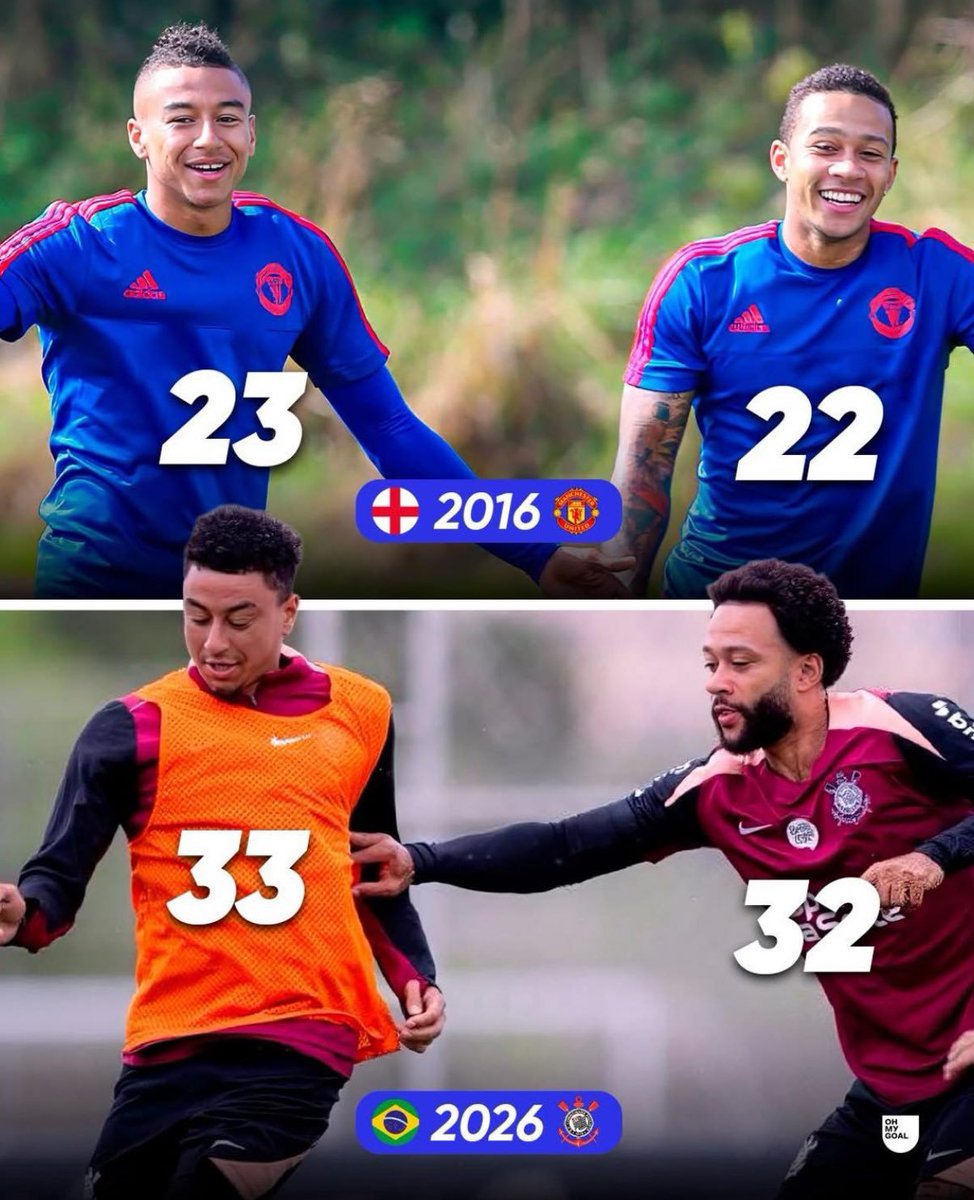 Shell Bandit tweet media