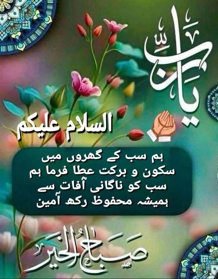 خانم tweet media