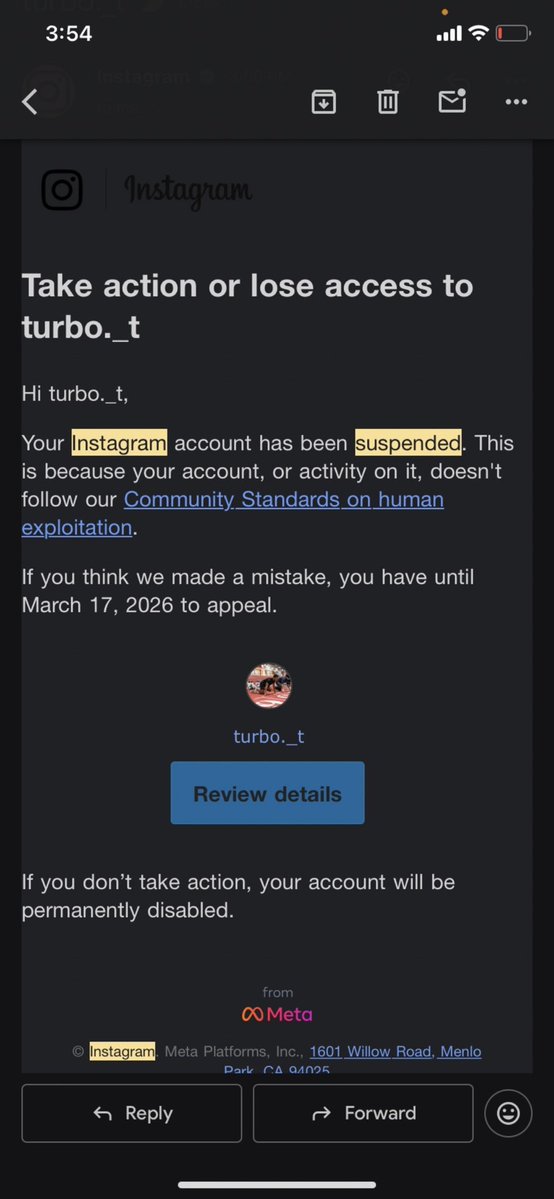 Taylor Banks tweet media