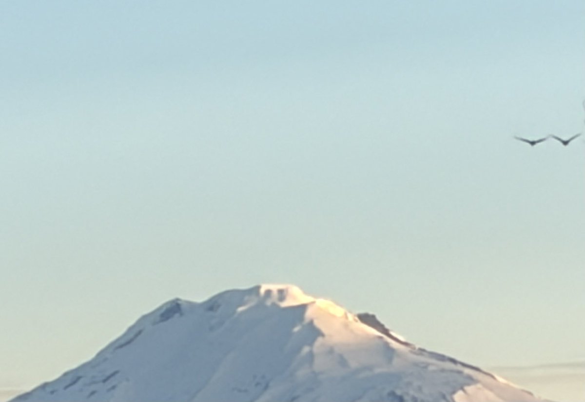 Fa'alavelave Motors tweet media