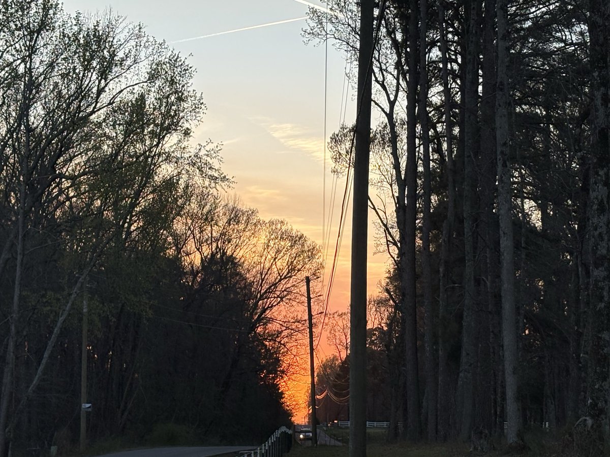 Avram Dorado tweet media