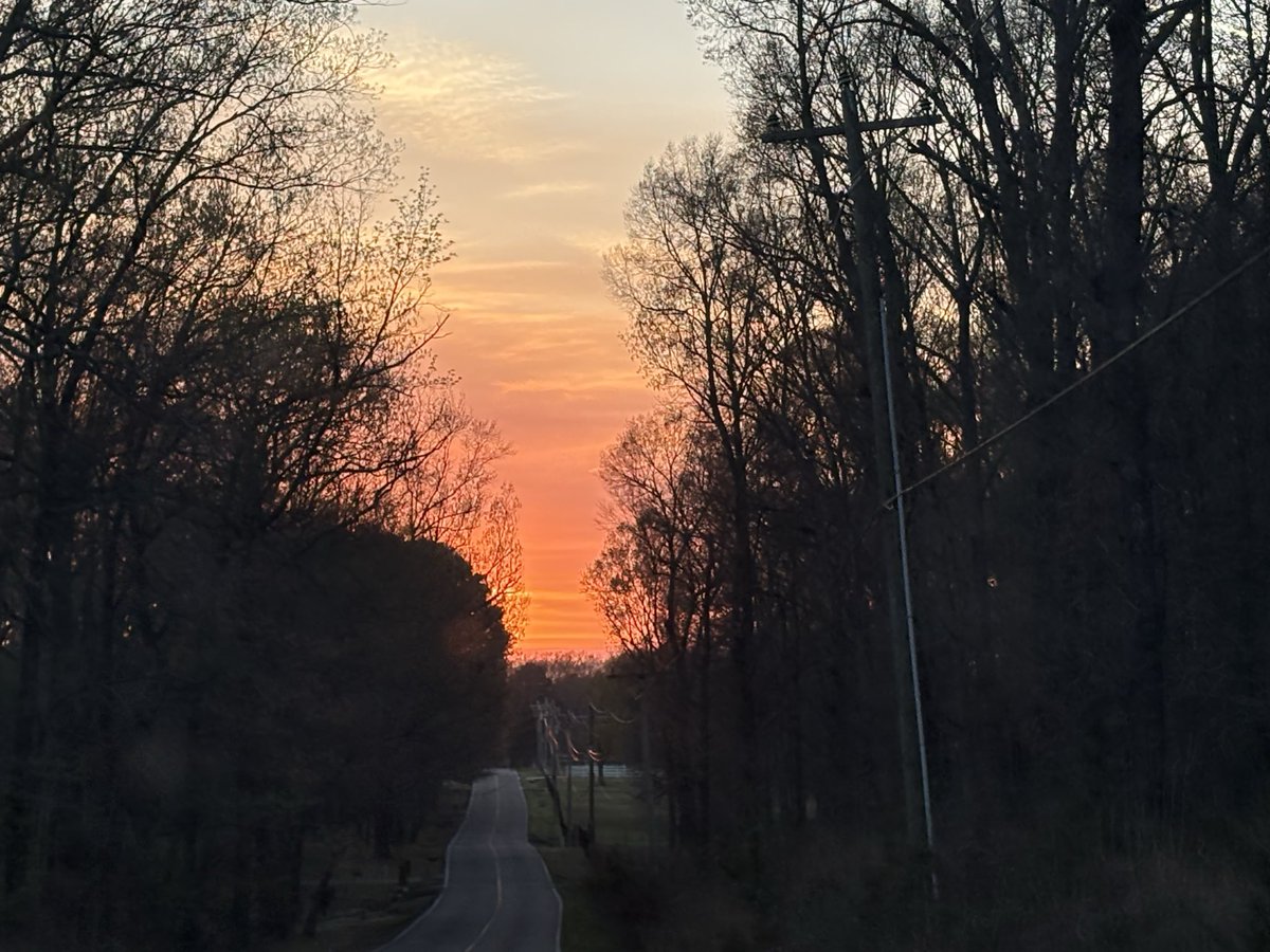 Avram Dorado tweet media