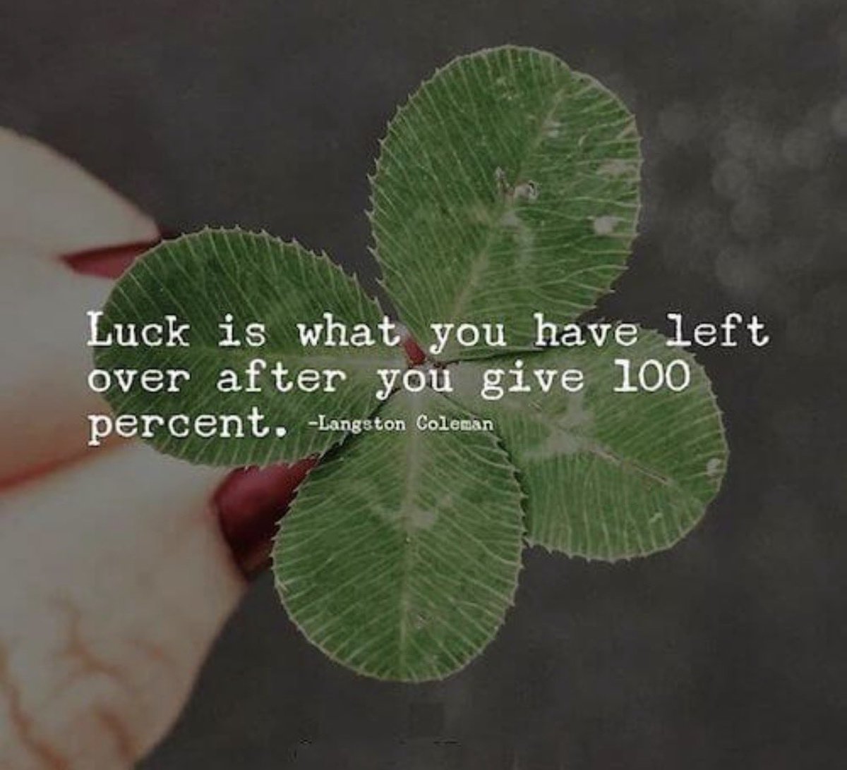 Sarah Camden tweet media