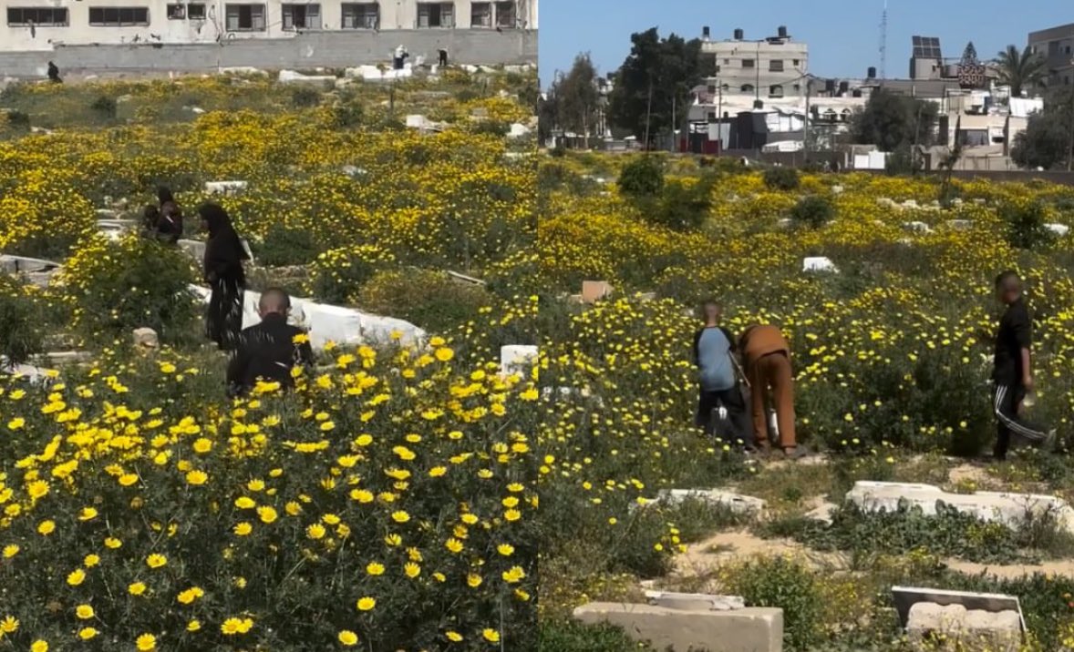 folkative tweet media