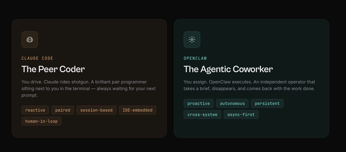 Renée Rosillo 🧠✨ tweet media