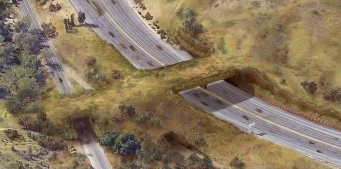 0️⃣BlackBetty ⚓️ tweet media