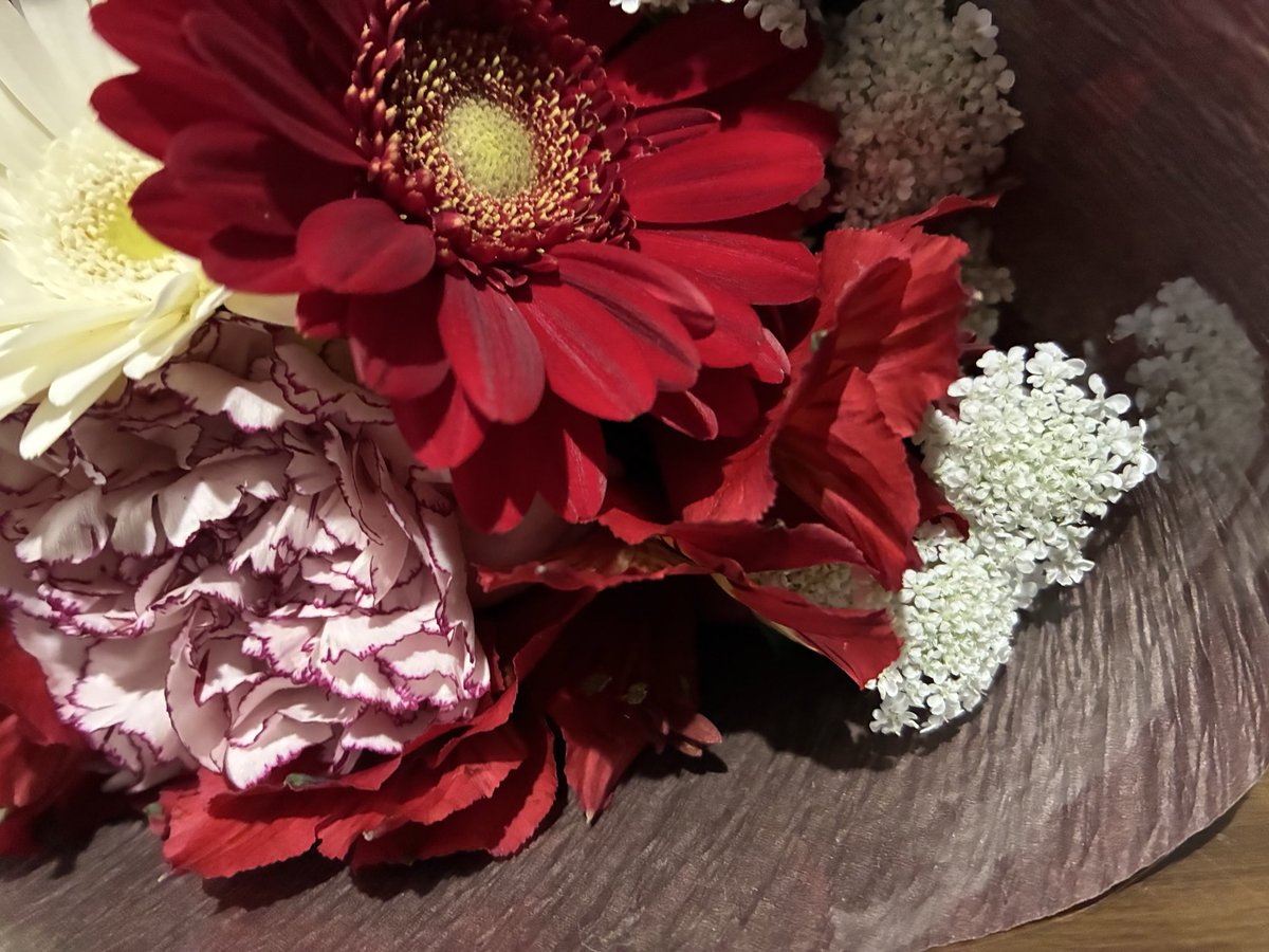 izu115mi's tweet photo. ガーベラの花言葉ってポジティブ
そしてなにより美しい💐目の保養 https://t.co/d9eUi0HG0Y