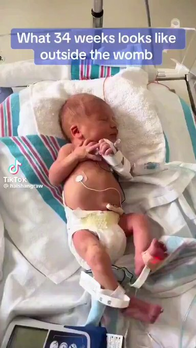 Karen Grube tweet media