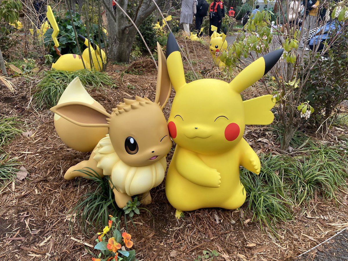 Maxx Clark tweet media