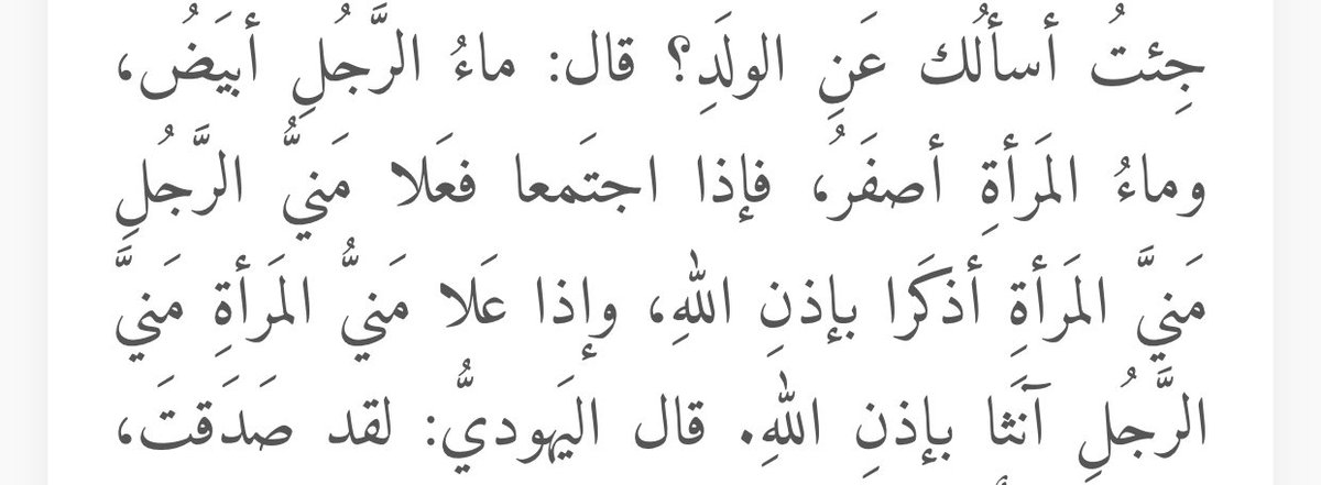 Orion 🪼 tweet media