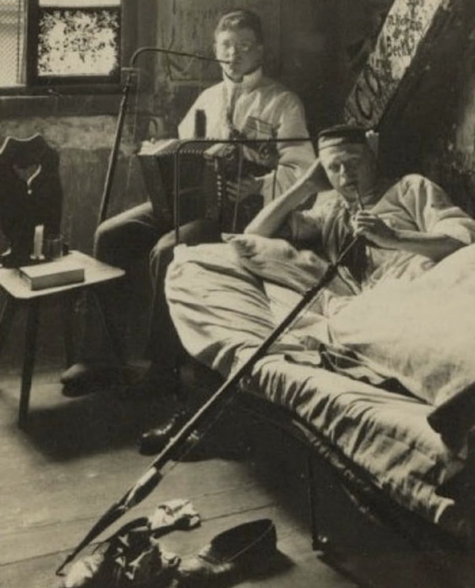 maggie z. 🎀 tweet media