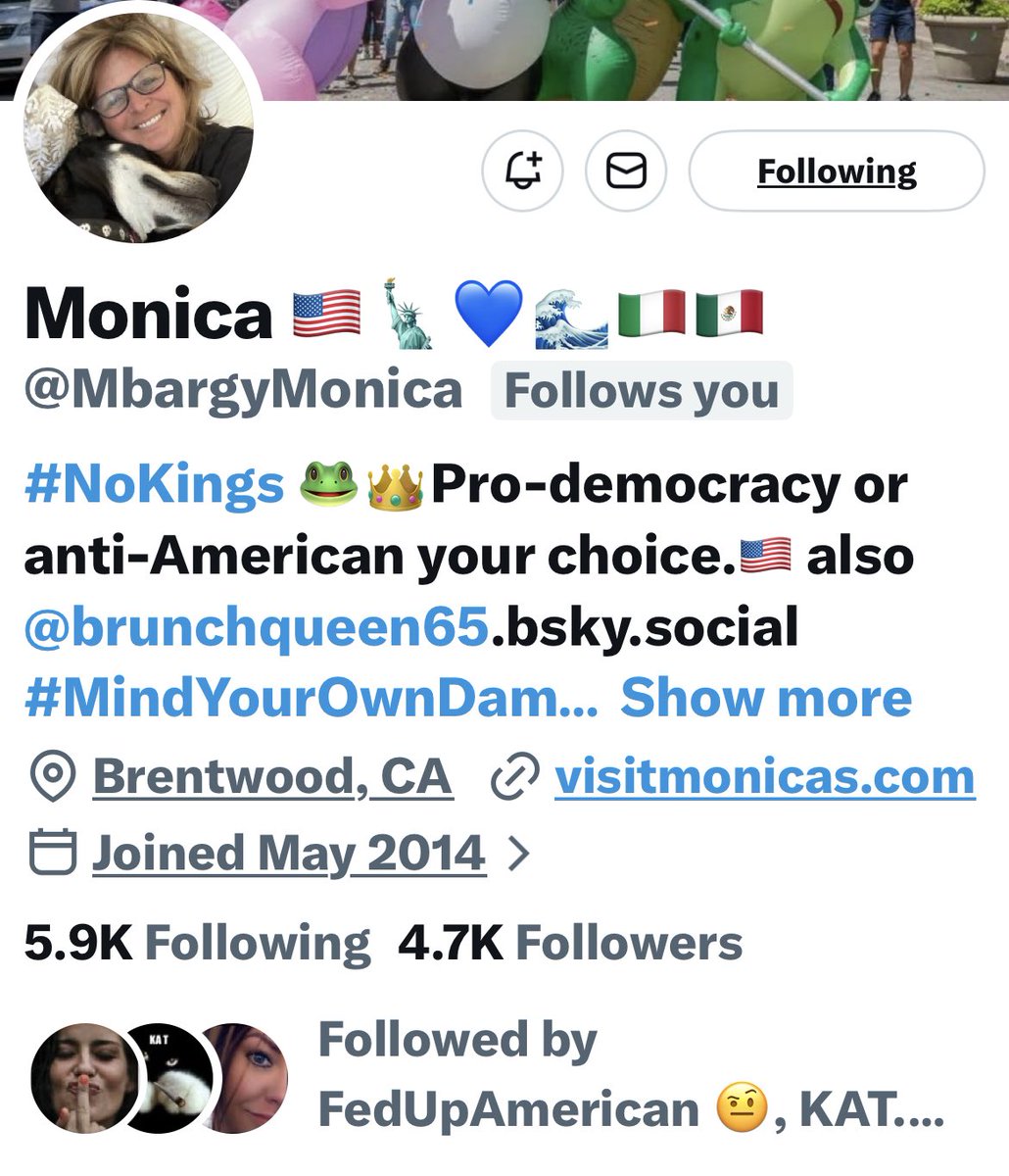 Turquoise Cat tweet media