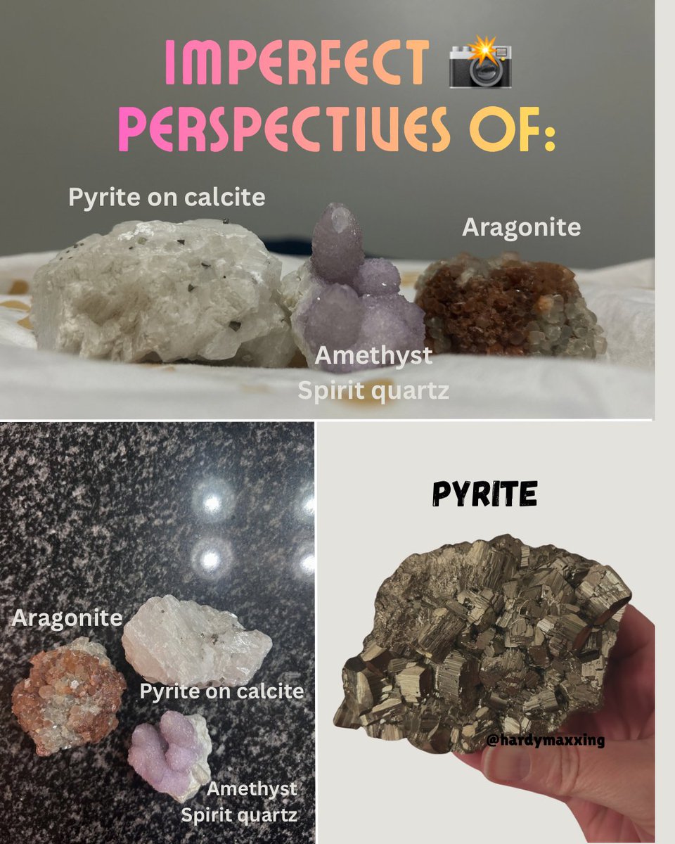 Michelle Muse tweet media