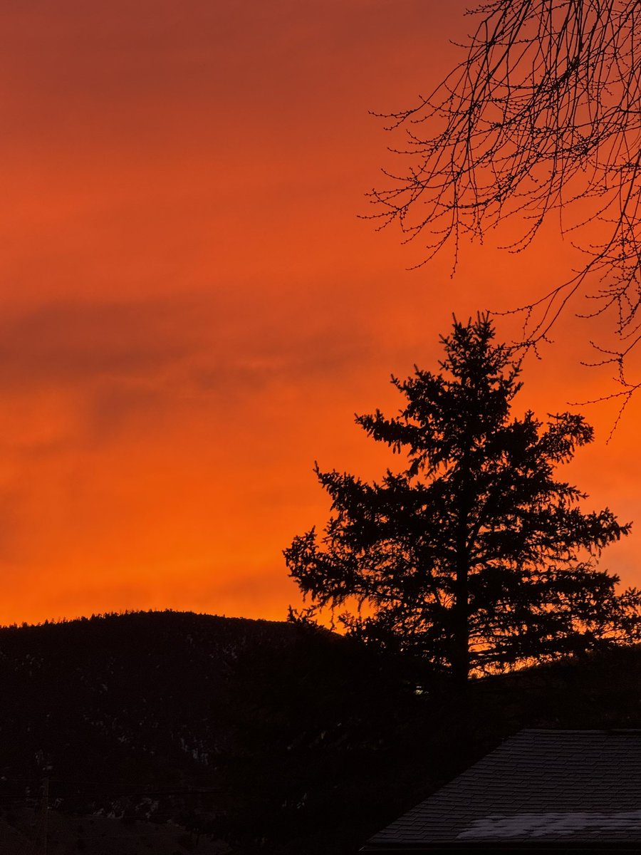 SUSAN MACMILLAN tweet media