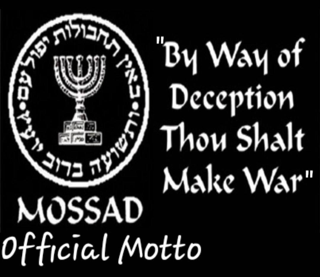 Orpheus - John Fournier tweet media