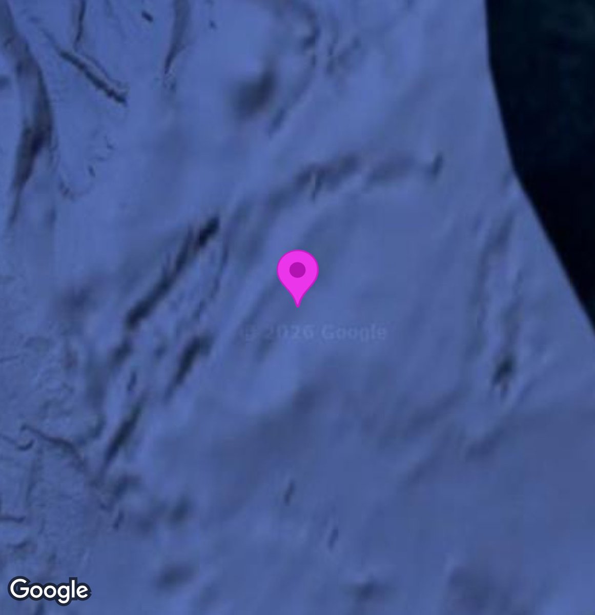 Stuart Wimbles Free Your Mind Art tweet media