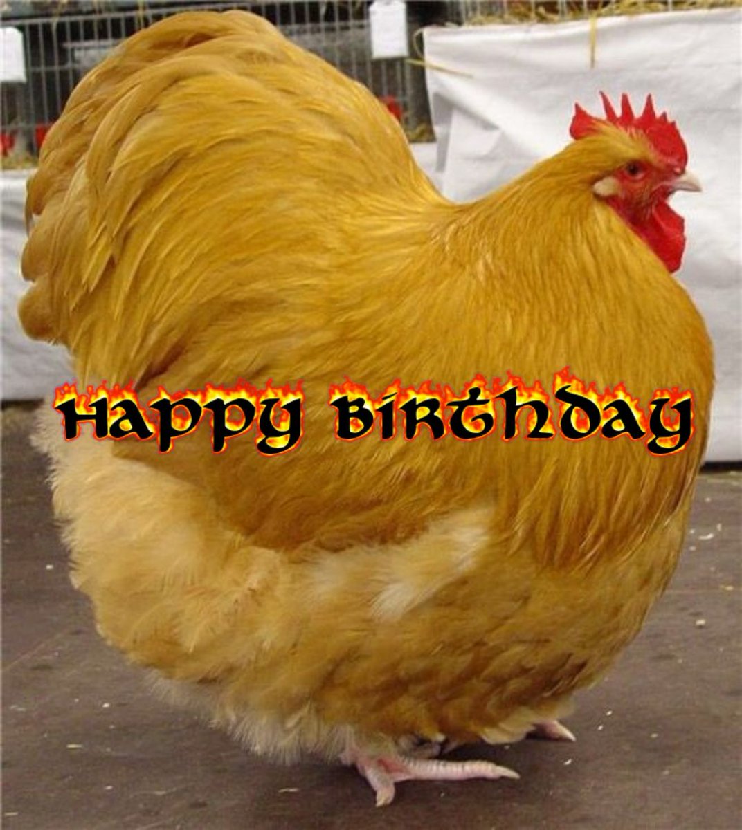 count yaoiper tweet media