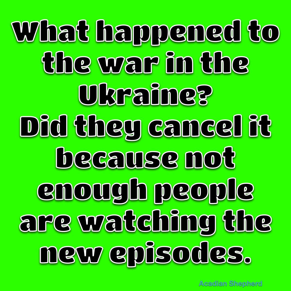 The Original Acadian Shepherd tweet media
