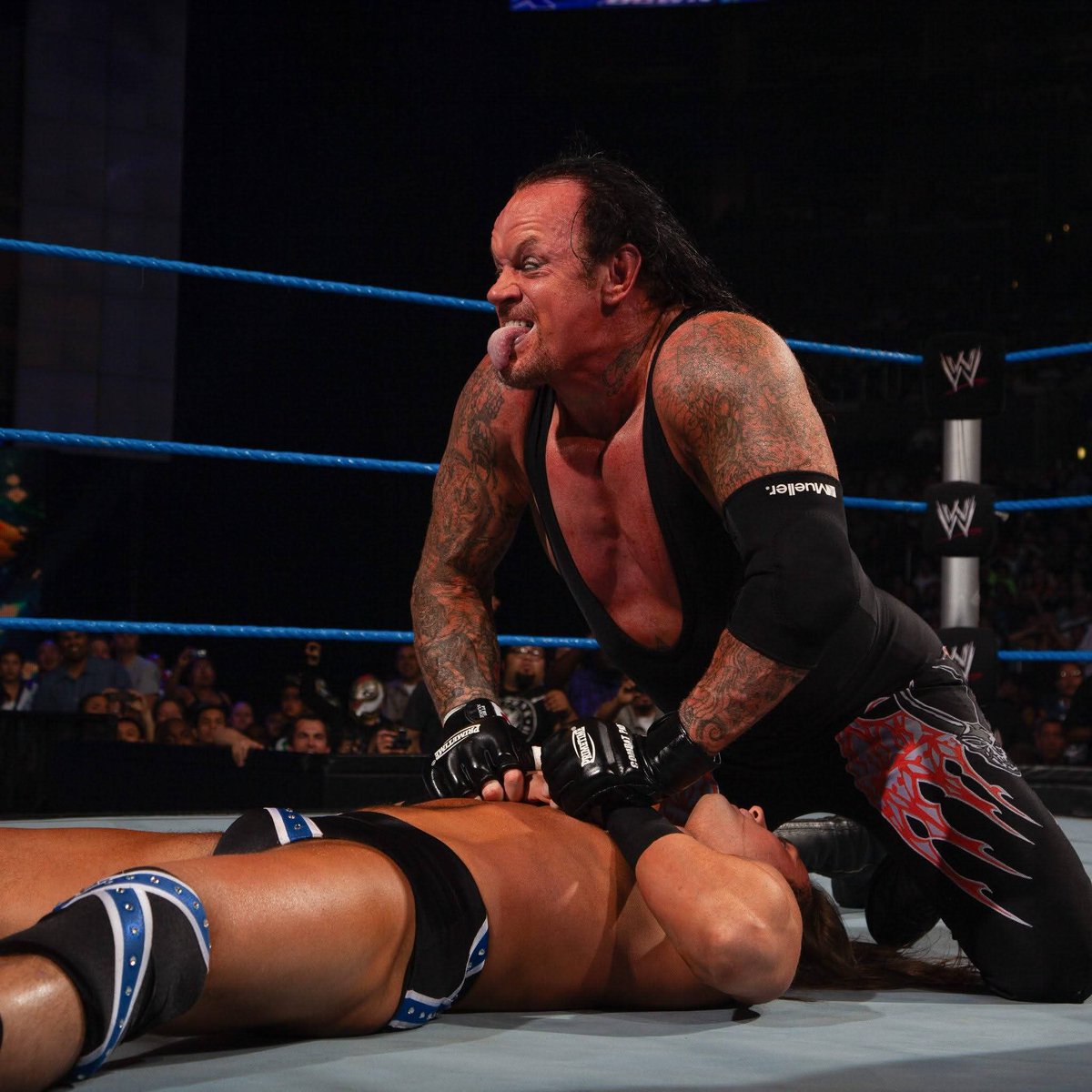 ᴢ ᴀ ɪ ʙ ɪ tweet media