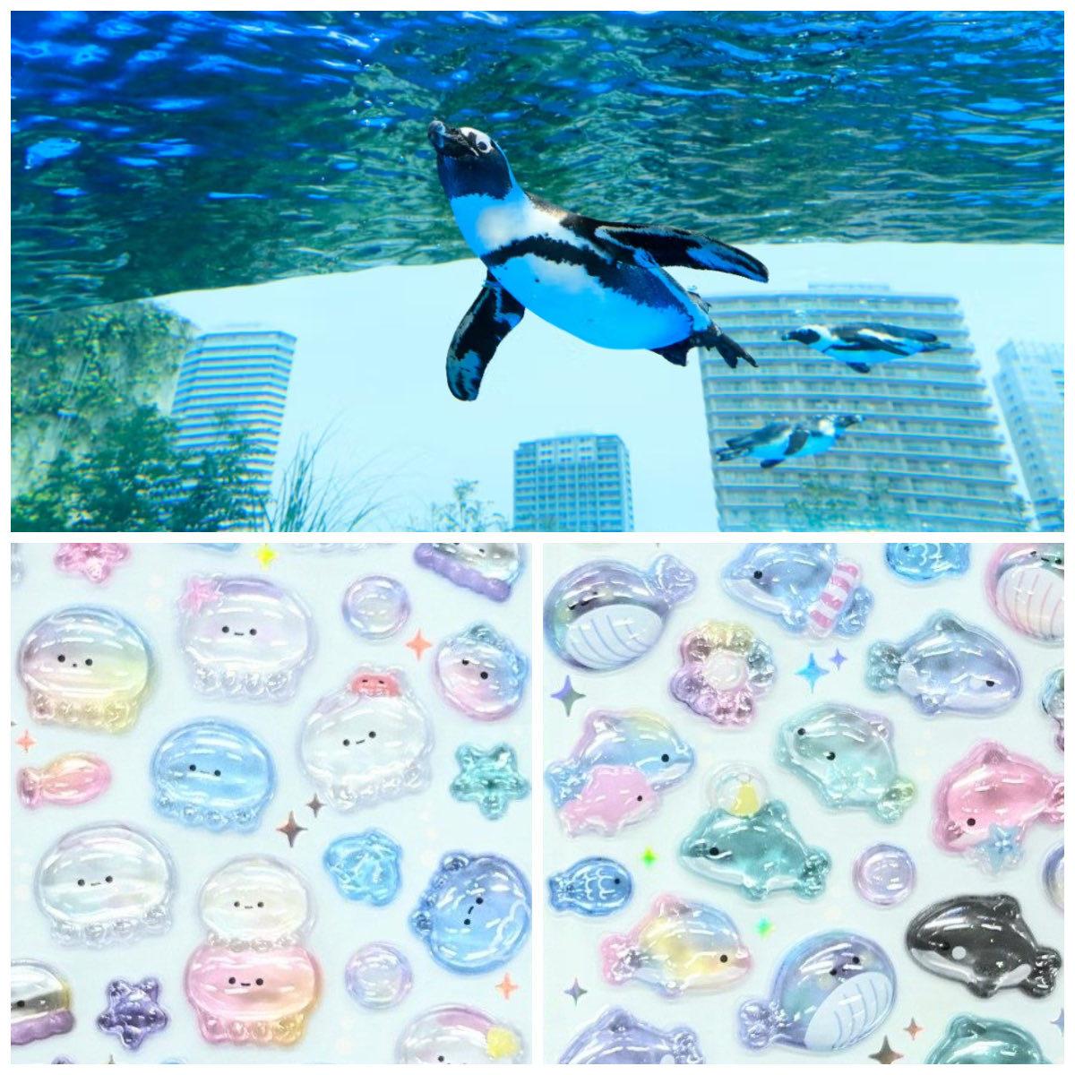 ボンボンドロップシール】「海のいきものたち（クラゲ・イルカ