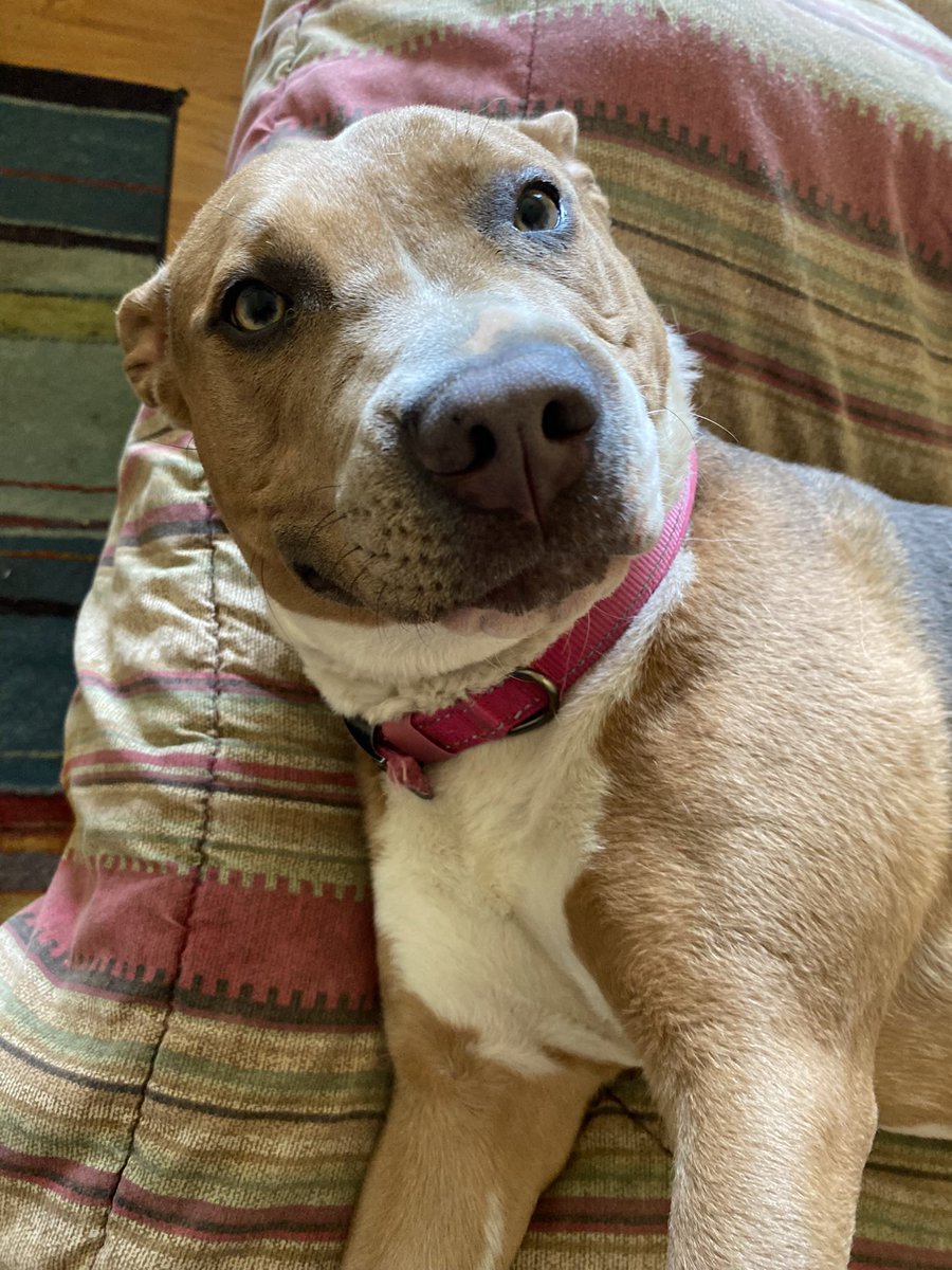 Robert Welch II tweet media