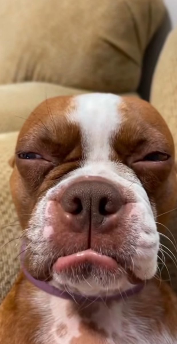 UNUSUAL_SCENES_HUB🎬💯 tweet media