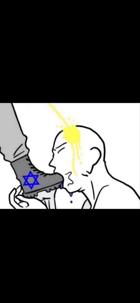 Alexander tweet media