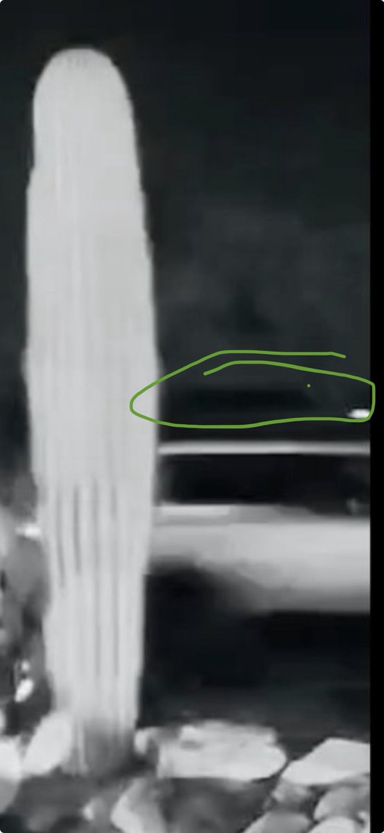 TrueCrimeXCommonSense tweet media