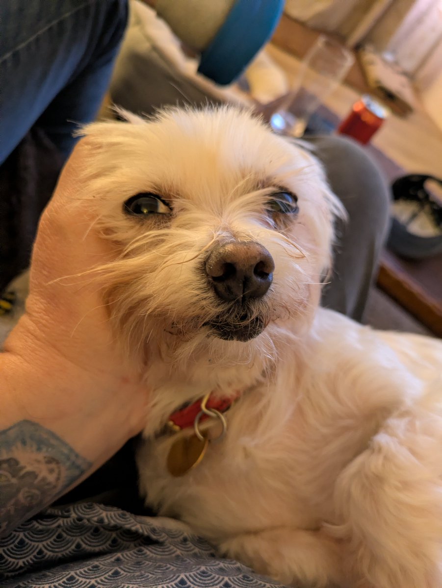 Sir Rowley Gherkin QC tweet media