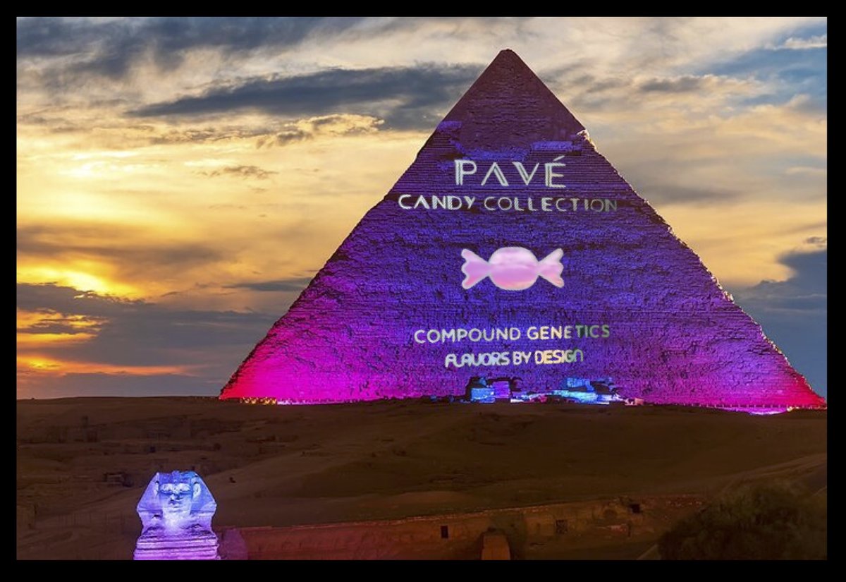 Pearl Polanski 🌻🇺🇦🇺🇸 tweet media