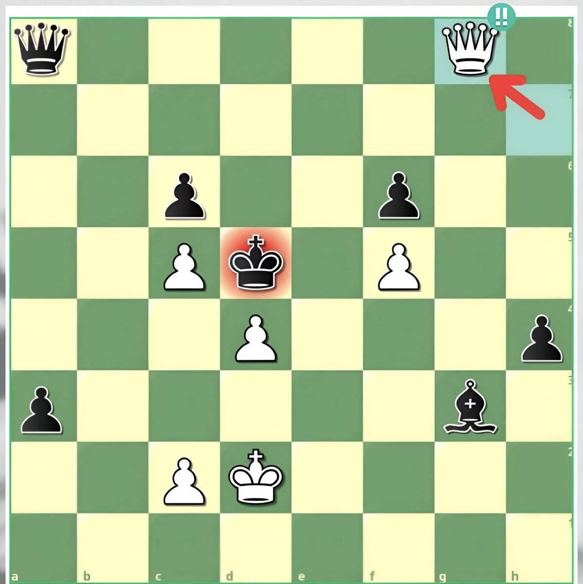 Chess Master tweet media