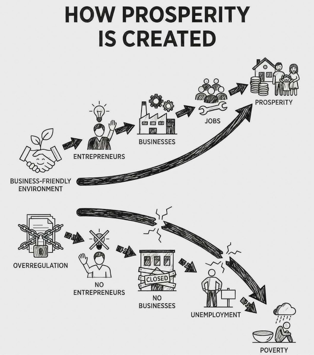 Rothmus 🏴 tweet media
