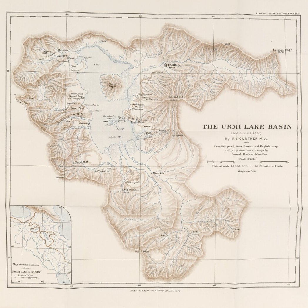 T⩝n An⩝r 🇦🇿🇹🇷🇹🇲🇰🇬🇰🇿🇺🇿🇵🇰🇭🇺 tweet media